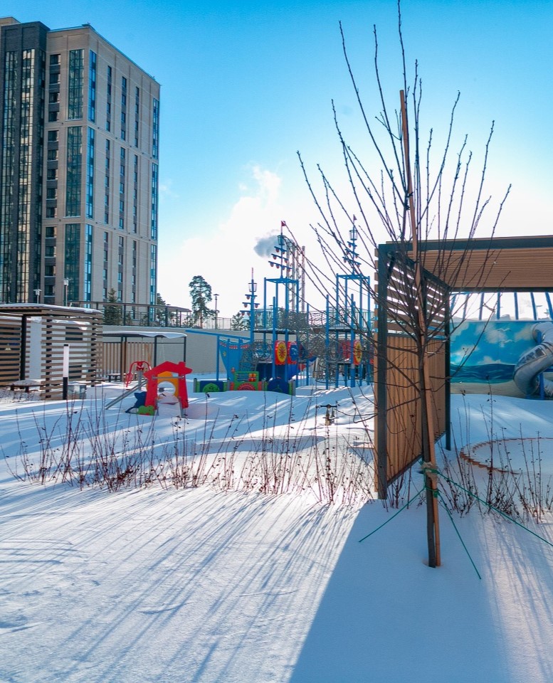 Территория